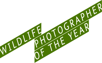 338px-Wildlife_Photographer_of_the_Year_logo.svg